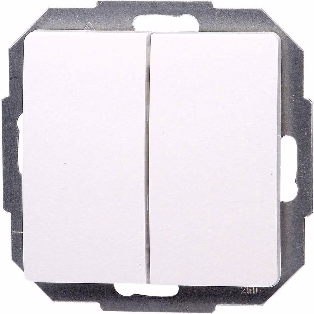 Interruttore bipolare, grado di protezione IP20, colore bianco artico, 250V, 10A, 2 vie, materiale plastico, confezione da 1 pezzo.