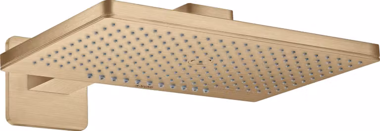 hansgrohe AXOR ShowerSolutions douche de tête de douche 460/300 douchette 2 jets rose, bras de douche, 35275140, 35275140