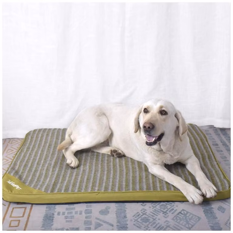 Tappetino ortopedico per cani, cuccia in memory foam, lavabile, colore verde, taglia M (41x34x4 cm)