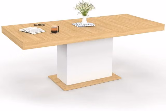 IDMarket - Tavolo da pranzo rettangolare allungabile EDEN 6-10 persone in legno e bianco 160-200 cm