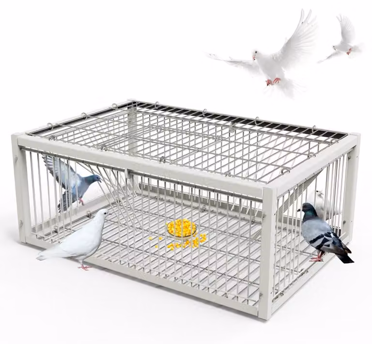Trappola per piccioni con design resistente agli urti