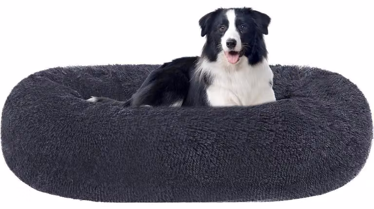 Cuccia per cani, rotonda, ortopedica, morbida e lavabile, diametro 90 cm, color grigio scuro
