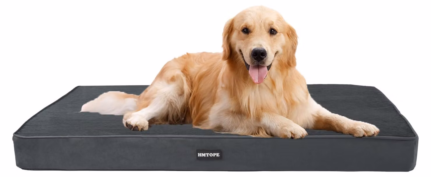 Omgoods - Cuccia ortopedica per cani con coperta removibile e fodera interna impermeabile