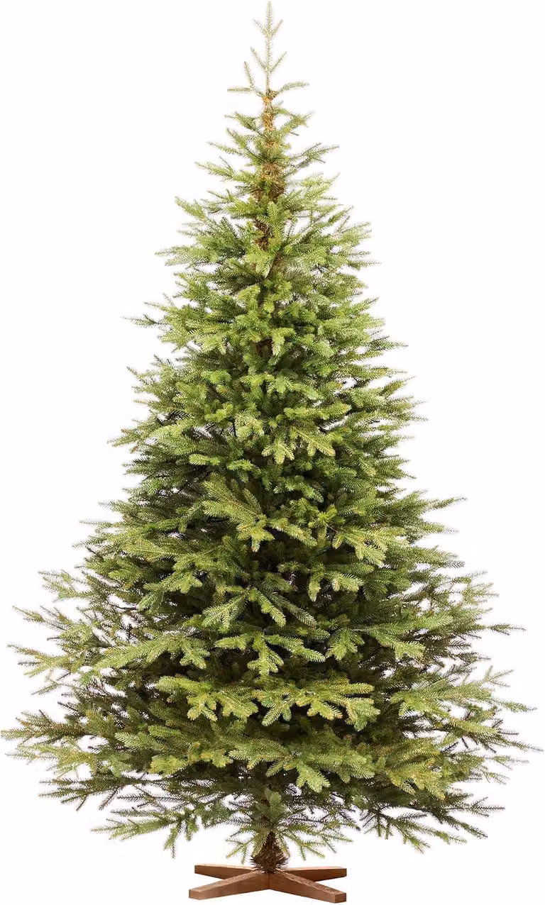 FAIRYTREES Albero di Natale 220 cm Nordman Esclusivo 100% PE | Elementi naturali realizzati ad iniezione| in UE | albero con supporto in legno di frassino fatto a mano
