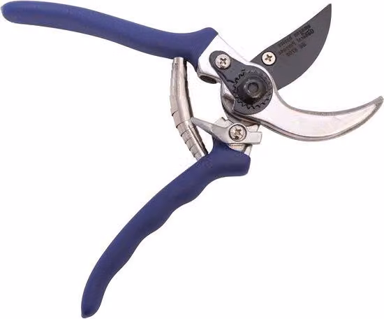 Forbici da taglio blu