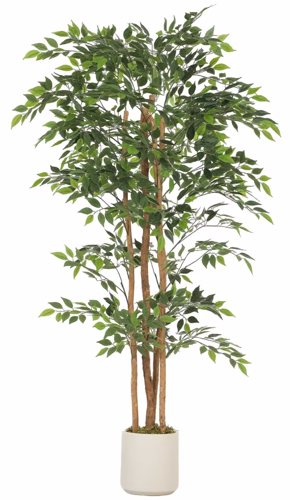 Albero di baniano artificiale con tronco in legno, altezza 180 cm