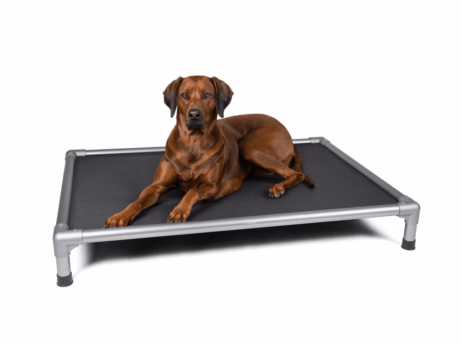 TrendPet HighBed letto alto per cani grigio (125x90x18cm)