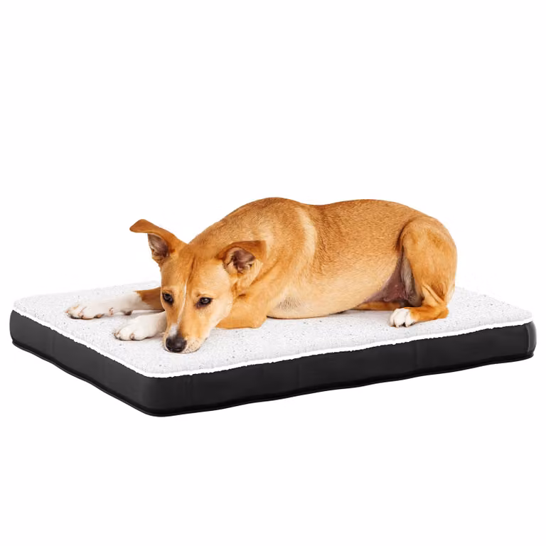 Avalo Cuscino Ortopedico per Cani L - 91x69 cm - Lavabile / Memory Foam / Antiscivolo - Cuccia Ortopedica per Cani