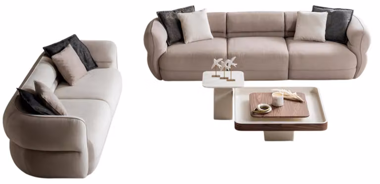 Elegante gemütliche stilvolle Sofas mit Couchtisch in modernem Design
