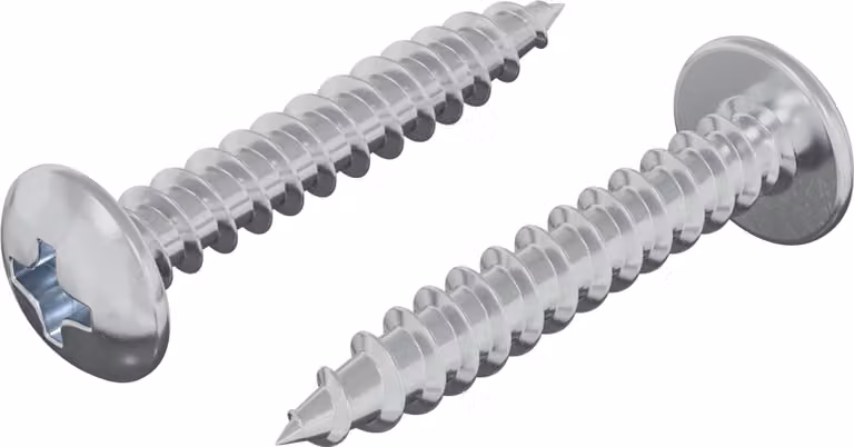 Chiodo autofilettante 2 pcs Zincato 4 x 25 mm Acciaio
