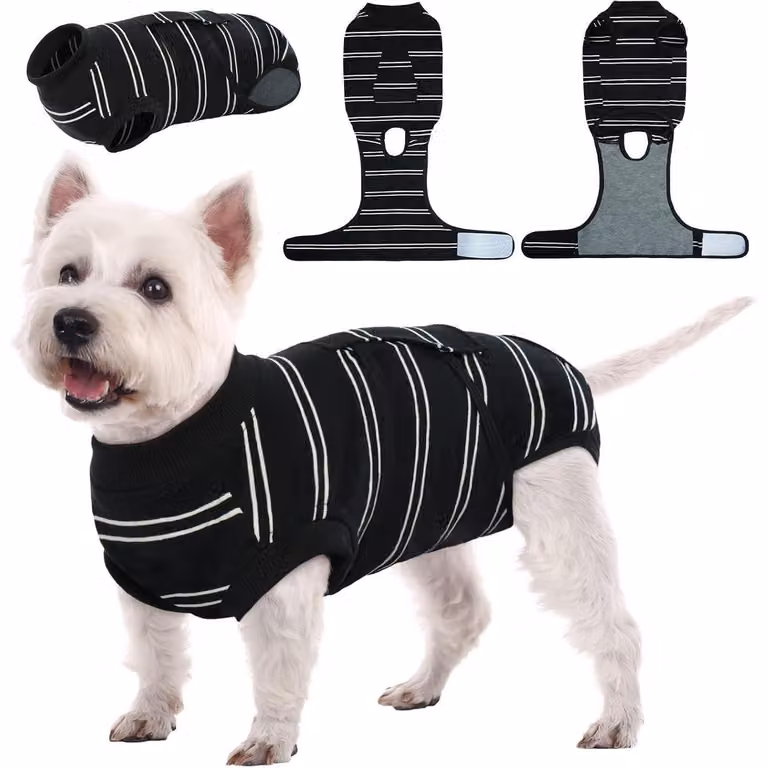 Body per cani, ideale dopo la castrazione, traspirante, colore nero, taglia M