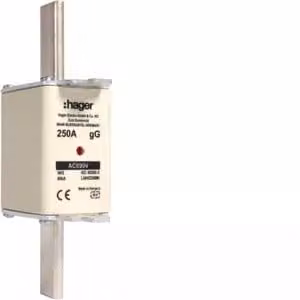 Cartuccia fusibile NH NH2C gG 690 V 250 A con segnalatore combinato e linguetta di presa in metallo