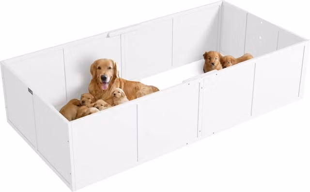 Casetta per cani Minimal in legno bianco L: 196 cm, P: 96 cm, H: 48 cm
