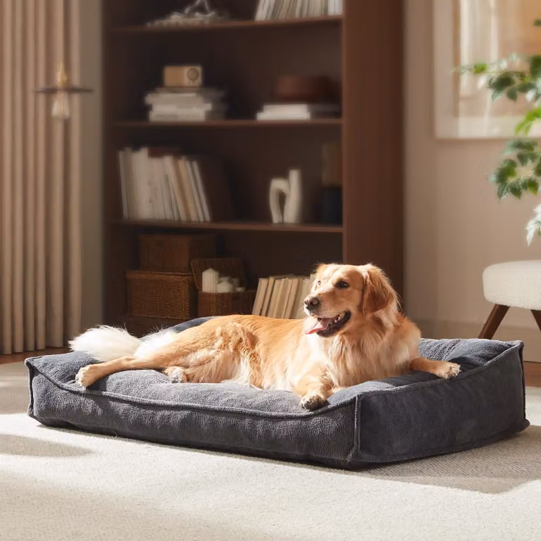 Cuccia ergonomica per cani di grossa taglia, taglia XL, dimensioni 107 x 78 x 24 cm
