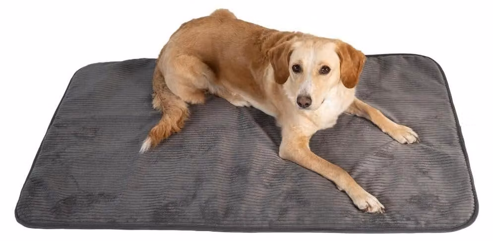 Omgoods - Cuccia per cani XL - Rivestimento in velluto morbido - Base antiscivolo - Ipoallergenica - Traspirante - Lavabile in lavatrice fino a 40 gradi - Cuccia per cani