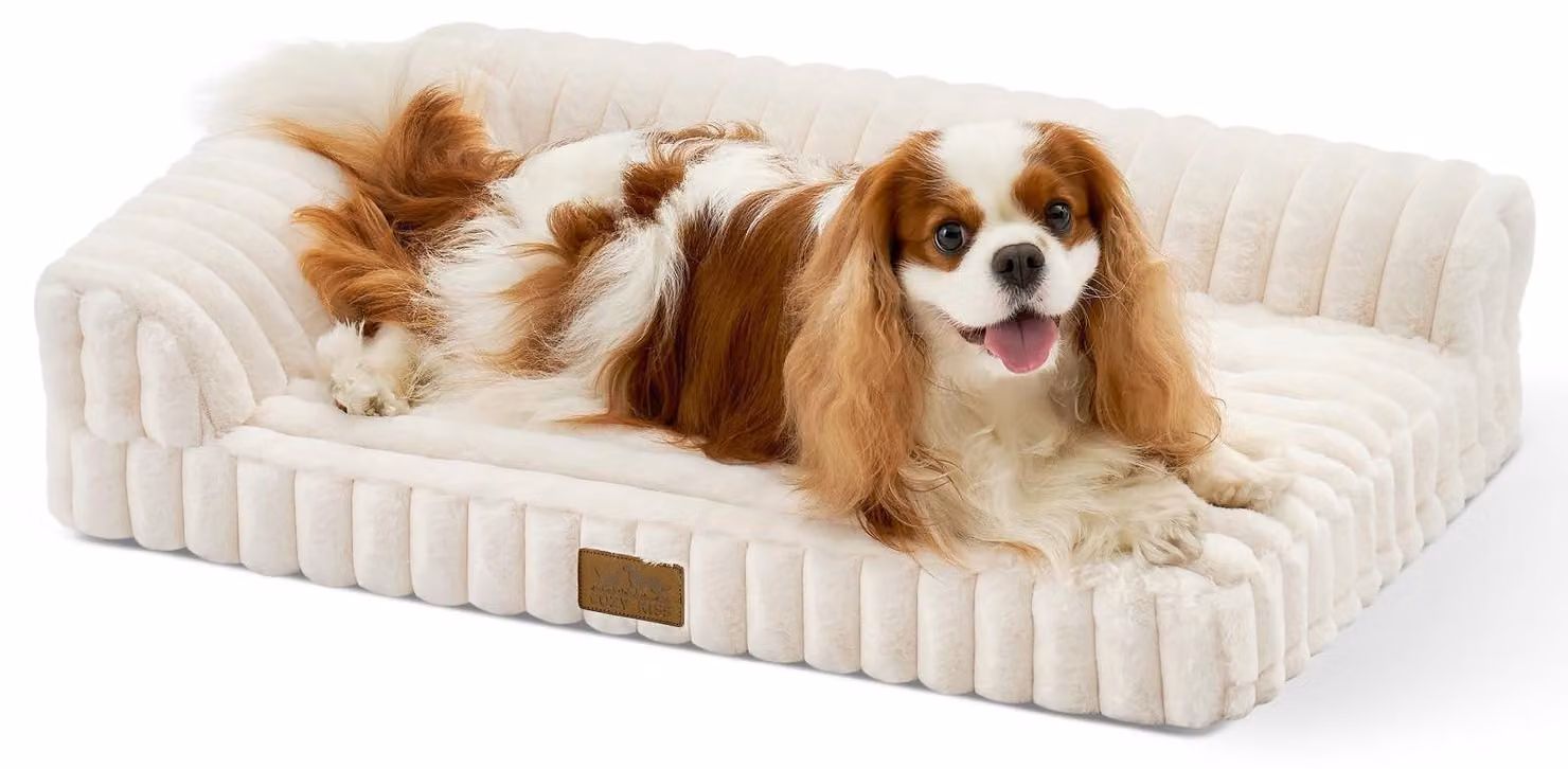 Omgoods - Cuccia ortopedica per cani di piccola taglia e gatti, lavabile e confortevole