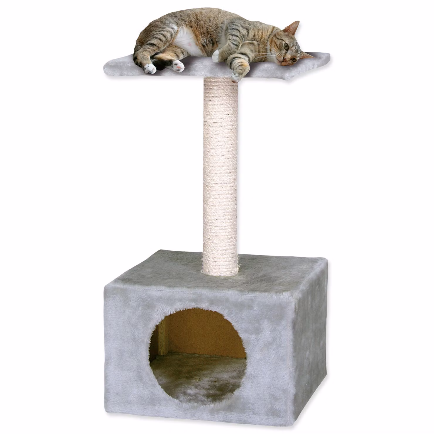 MAGIC CAT Hedvika grigio 57 cm 1 pz