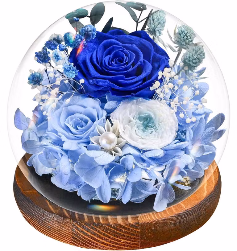 Rosa blu eterna in vaso con illuminazione | Fiori conservati | Confezione regalo | Decorazione e regalo | Forma rotonda, colore blu