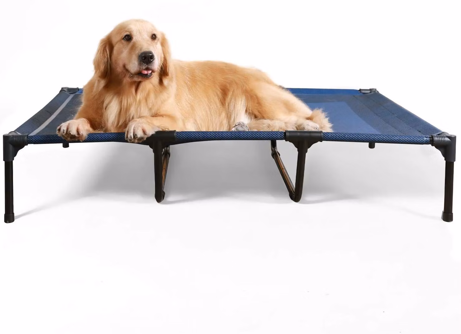 Cuccia rialzata per cani - Adatta per l'esterno - Blu