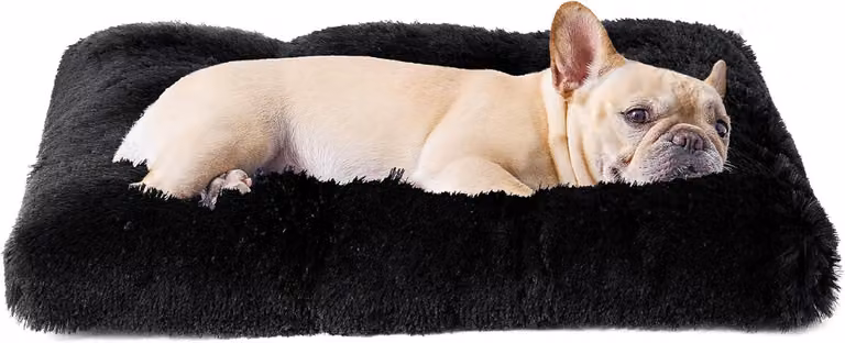 Cuccia per cani, piccola, antistress, dimensioni 60x45 cm, lavabile, adatta ai cani