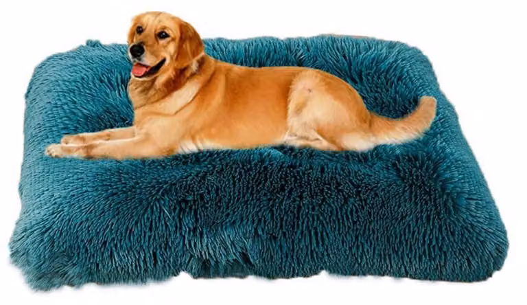 Cuccia per cani morbida e soffice, realizzata in peluche, con imbottitura confortevole, colore verde, dimensioni 109x72 cm