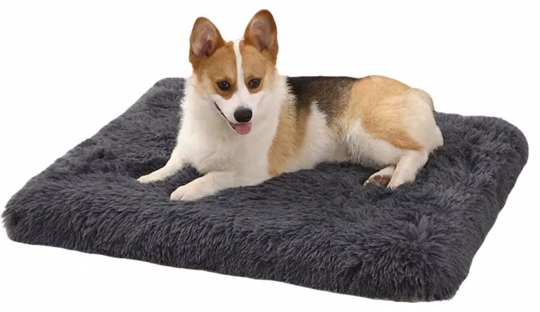 Cuccia per cani da interno - Grigio scuro - 75 x 50 x 8 cm - Tessuto in poliestere morbido - Adatta a cani di piccola e media taglia - Letto per animali domestici