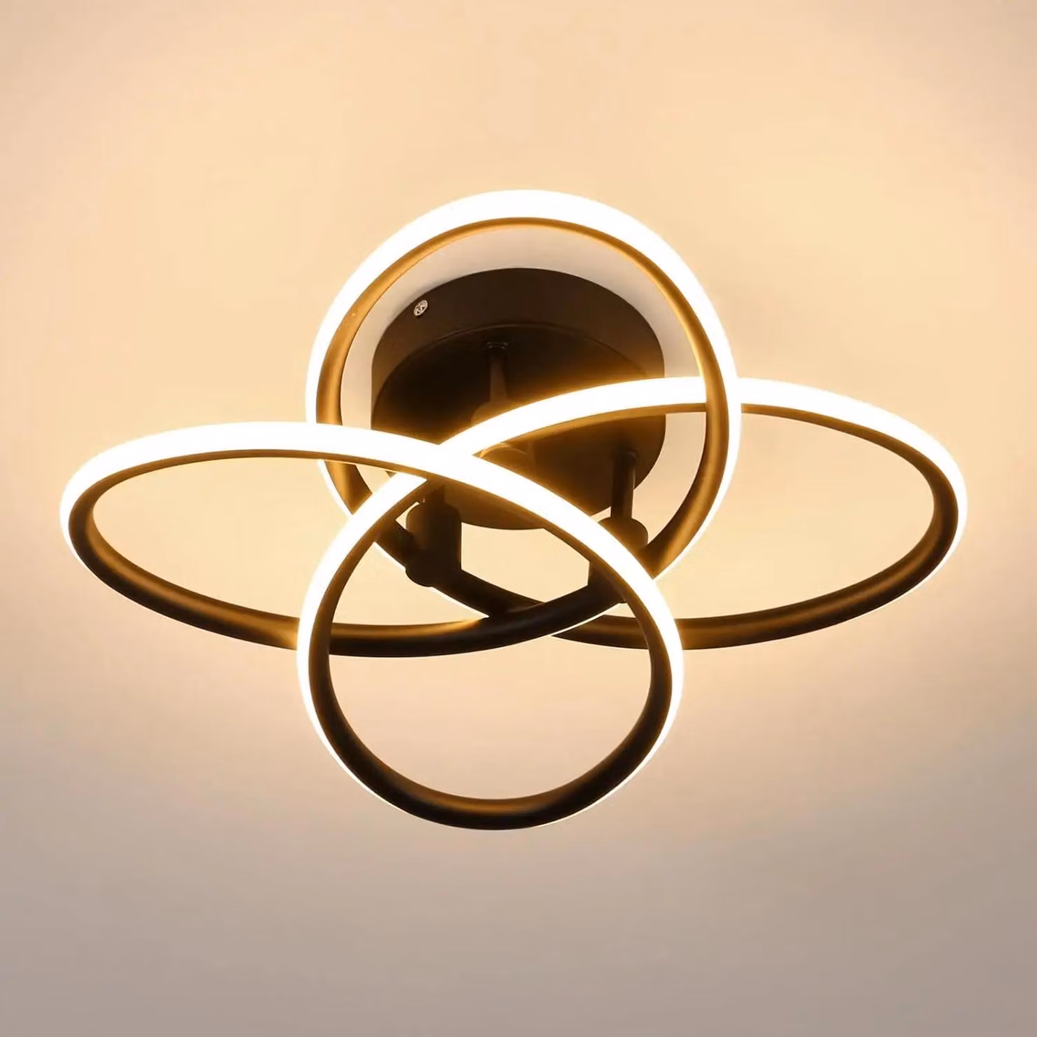 Lampada a soffitto LED moderna - Modello A5219 - Design a forma di fiore - 30 W - 6500 K (bianco freddo) - Non dimmerabile - Argento