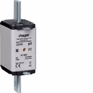 Cartuccia fusibile NH NH1 gG 500 V 224 A Segnalatore combinato con linguetta isolata