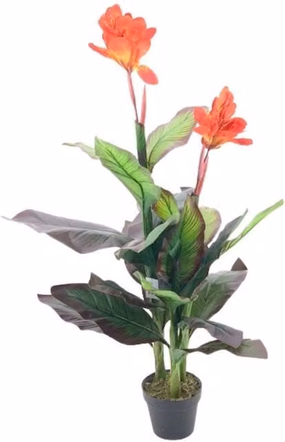 Pianta ornamentale Canna Lily con fiori arancio in vaso Effezeta Italia, Altezza: 115 cm