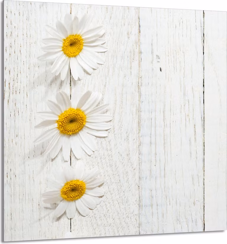 PIATTO IN VETRO PER CUCINA 60x65 legno