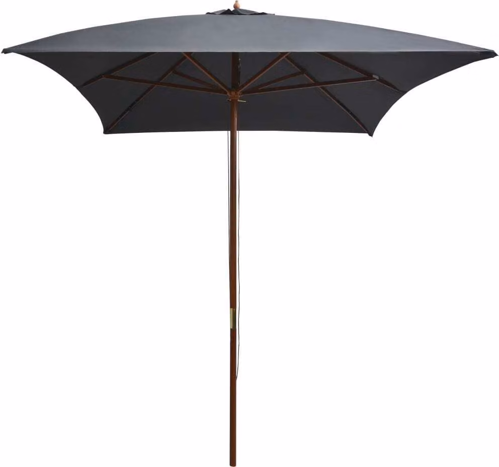 Ombrellone da Esterni con Palo in Legno 200x300 cm Antracite