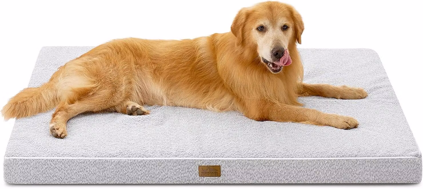 Cuccia ortopedica per cani, con rivestimento interno impermeabile, dimensioni 137 x 111 x 10 cm, adatta a cani di grossa taglia
