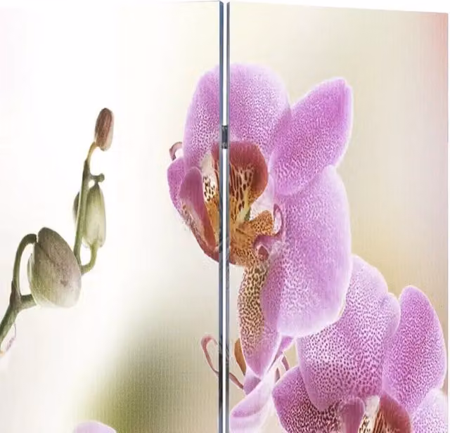 Paravento Pieghevole vidaXL con Stampa Floreale Rosa L: 217 cm, H: 170 cm
