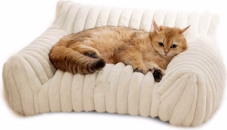Divano letto per gatti, simpatico animale domestico per gatti piccoli, medi e grandi, cani, soffice divano per animali domestici in casa, con base antiscivolo