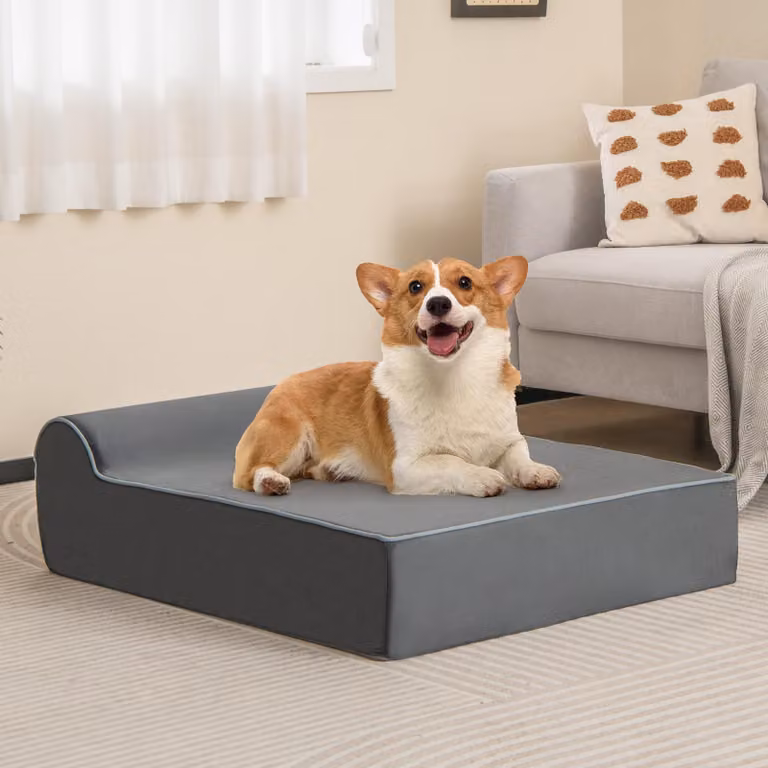 COSTWAY 100x81x20 cm Letto ortopedico per cani, divano per cani con bordo, in memory foam, lavabile e antiscivolo, per cani letto per gatti divano per gatti da interno grigio
