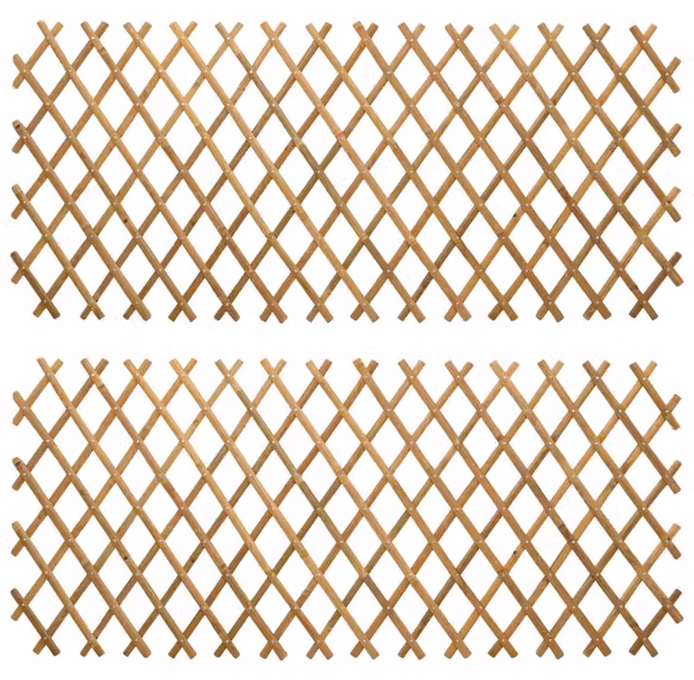 Recinto Trellis Espandibile 2 pcs Marrone Chiaro 100 x 105 cm