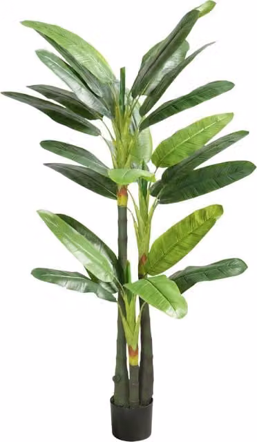 Pianta Artificiale Banano 18 Foglie ¨C Xylo ¨C Verde 180 cm
