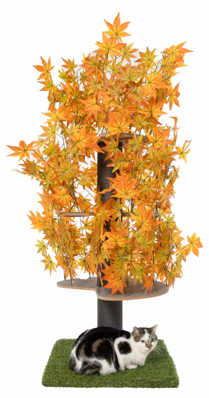 Albero per gatti con foglie rimovibili, ideale per arrampicarsi e riposare