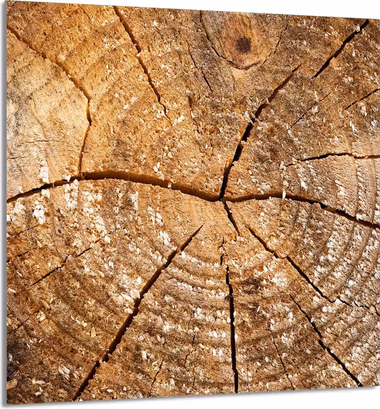 PIATTO IN VETRO PER CUCINA 60x65 legno