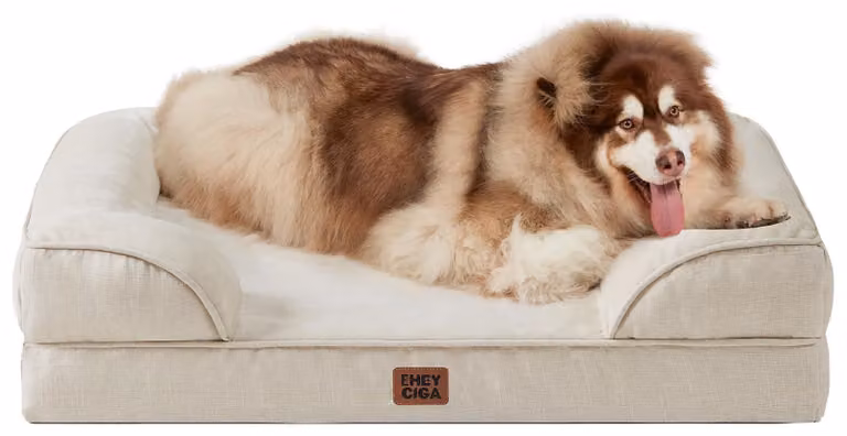 Letto ortopedico per cani, taglia XXL, con memory foam e rivestimento impermeabile