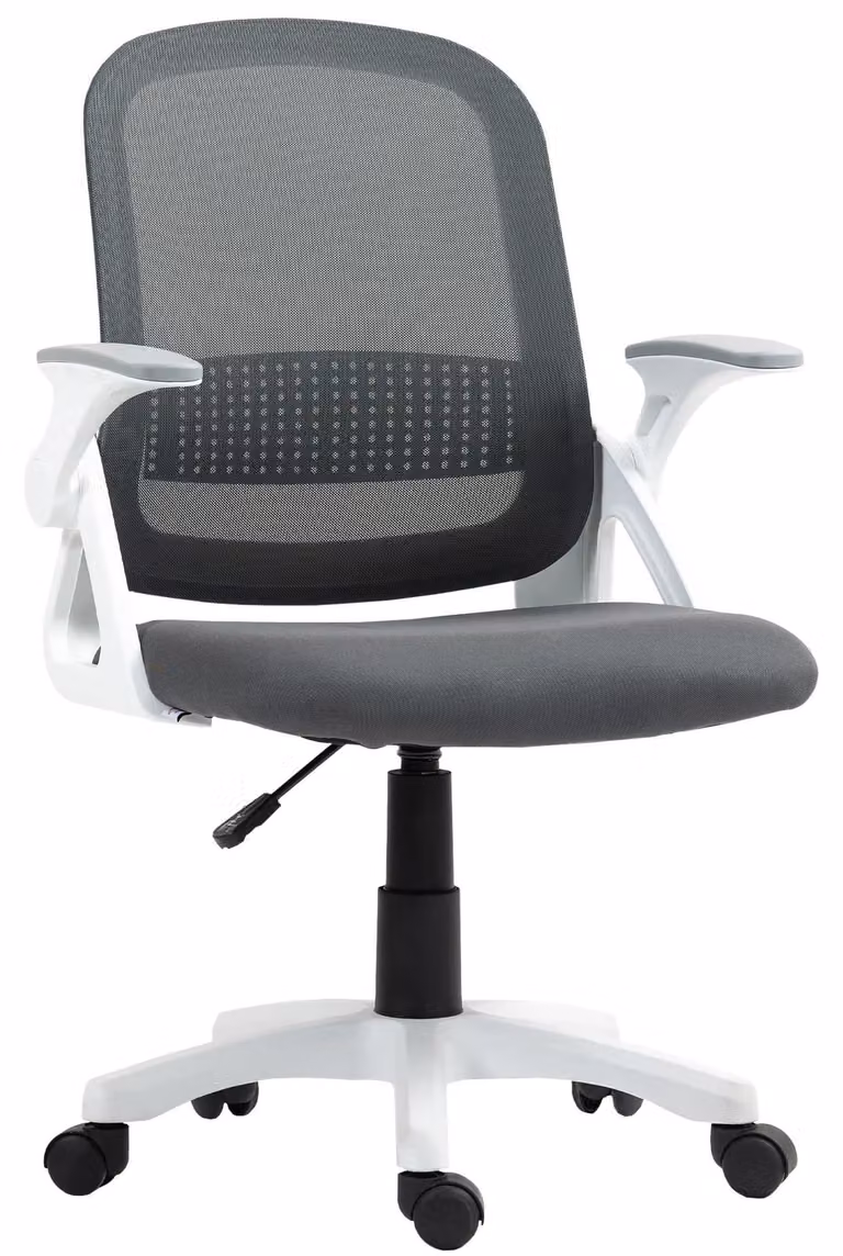 Sedia da ufficio ergonomica - Sedia da scrivania - Braccioli reclinabili - Supporto lombare - Regolabile in altezza - Imbottita - Funzione basculante - Grigia