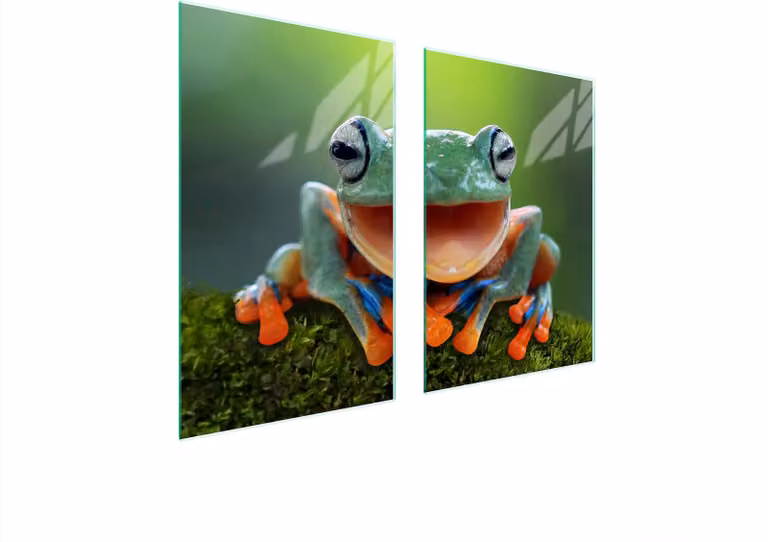 Piatto Di Protezione In Vetro Per Cucina 65X52 Frosch