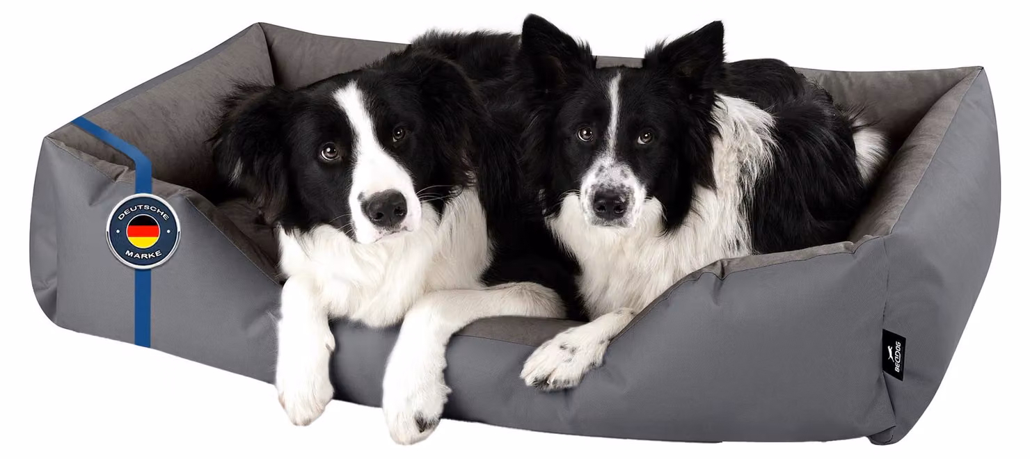 Cuccia per cani BedDog ZARA con rivestimento lavabile, cesto per cani, divanetto per cani, STEEL-GREY (grigio), (XXL) ca. 120x85x23 cm