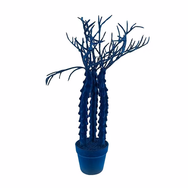 Complemento d'arredo Cactus Cereus Adriani e Rossi