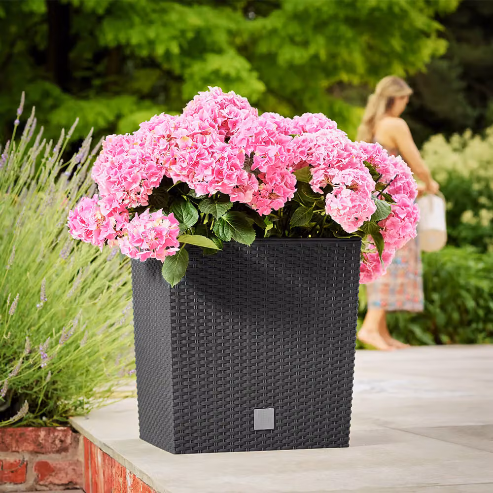 Vaso per fiori Rato Low Deuba antracite L: 39 cm, P: 39 cm, H: 40,5 cm – 3