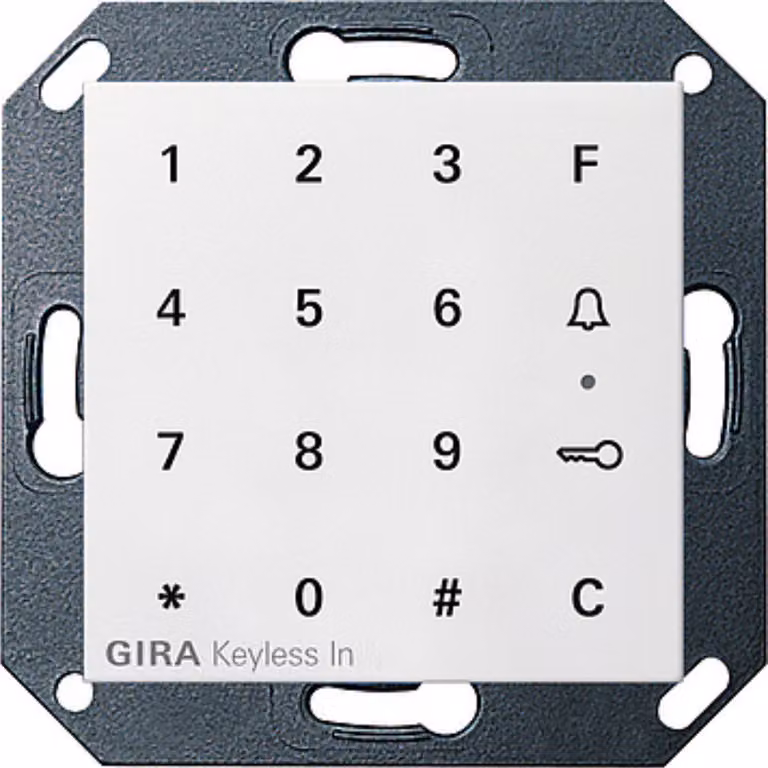 GIRA 260503 Accessori per interruttori elettrici (260503)