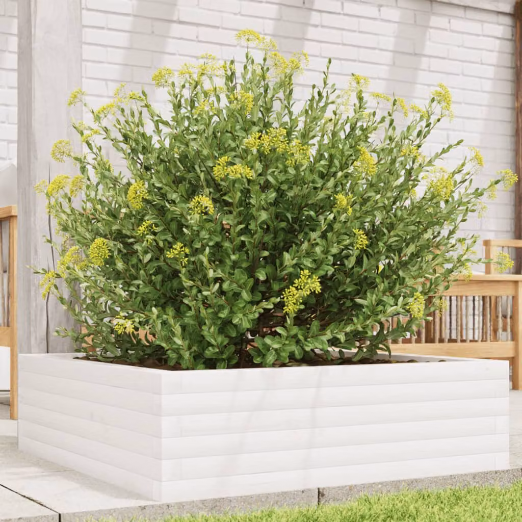 Fioriera da giardino vidaXL in legno di pino bianco L 80 x P 80 x H 23 cm