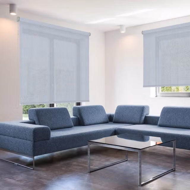 Tenda a rullo Screen Royal VIEWTEX Greenwich con grado di apertura 8% L: 150 cm, H: 250 cm – 1