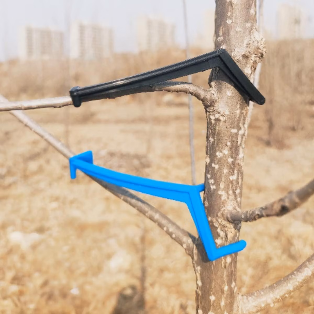 Set di divaricatori per alberi da frutto, 30 pezzi, blu e neri