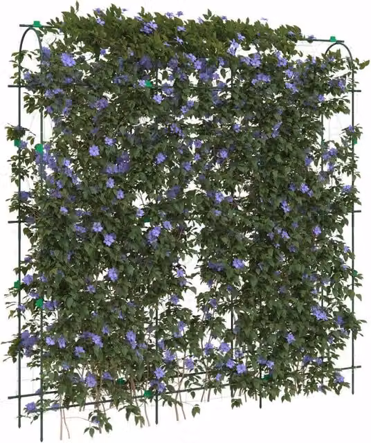 Set di 2 tralicci per piante rampicanti vidaXL in acciaio e plastica, colore nero o verde, H: 182,5 cm x L: 31,0 cm x P: 181,0 cm